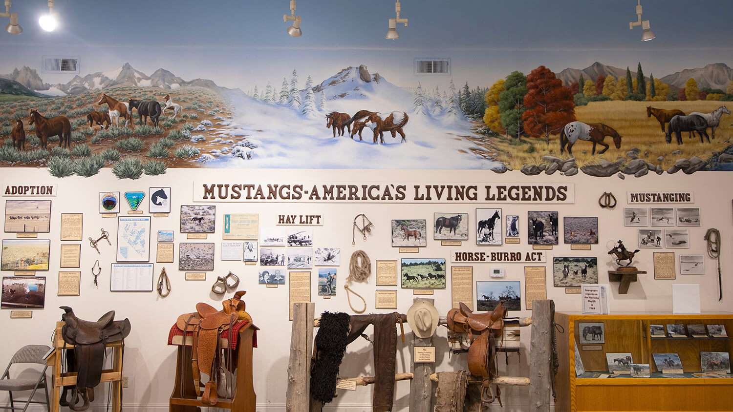 carson valley museum & cultural center 
