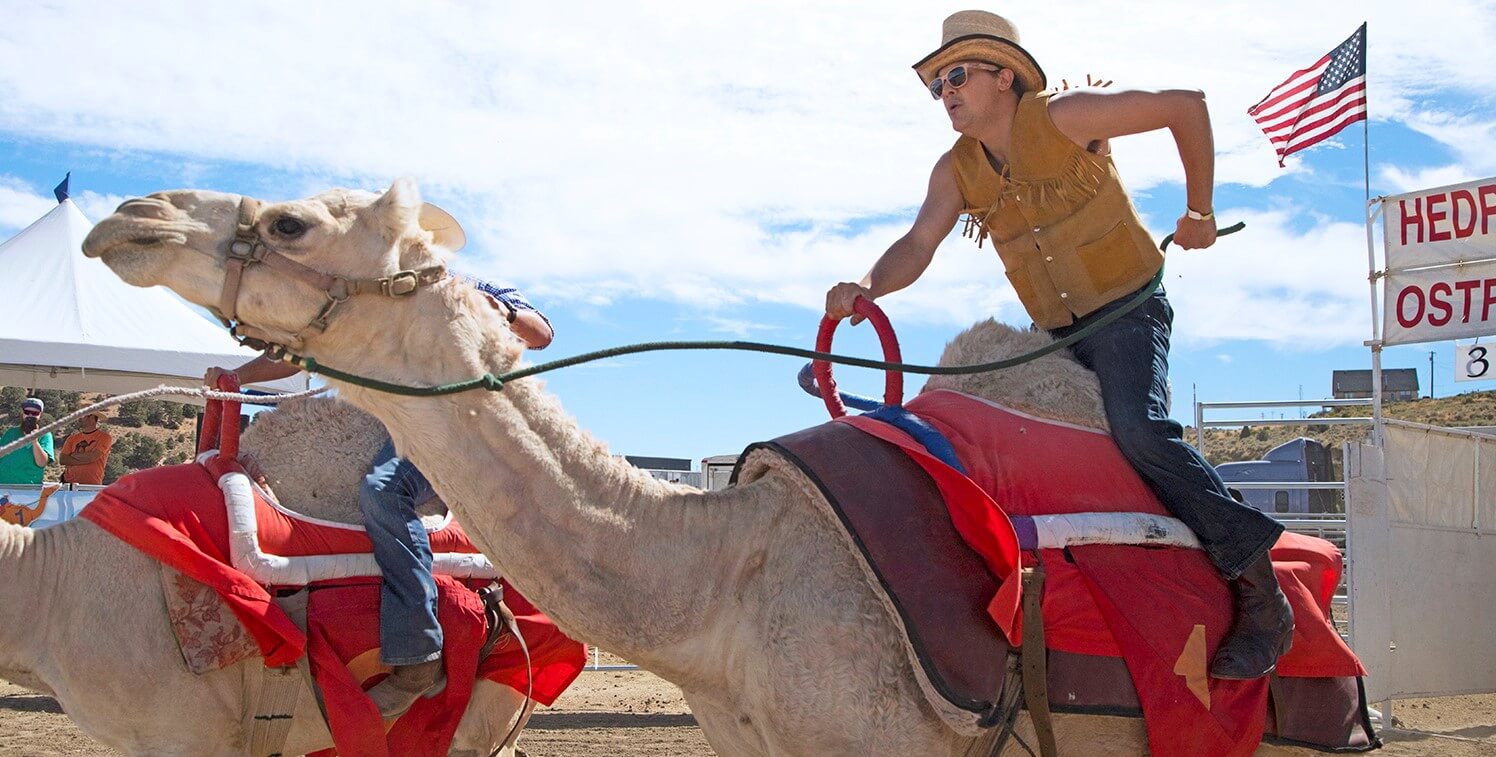 International Camel Ostrich Races