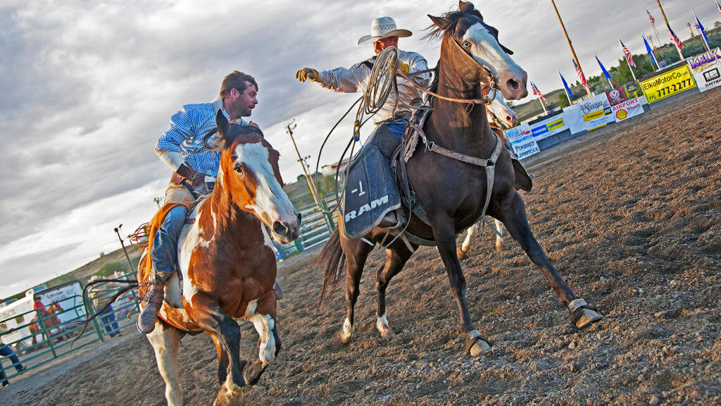 Silver State Stampede