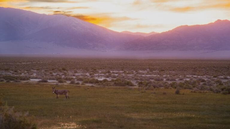 sunset at spencer hot springs