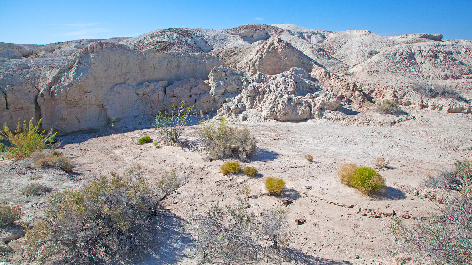 tule springs fossil beds national monument