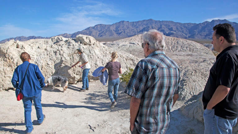 visitors examining las vegas fossils