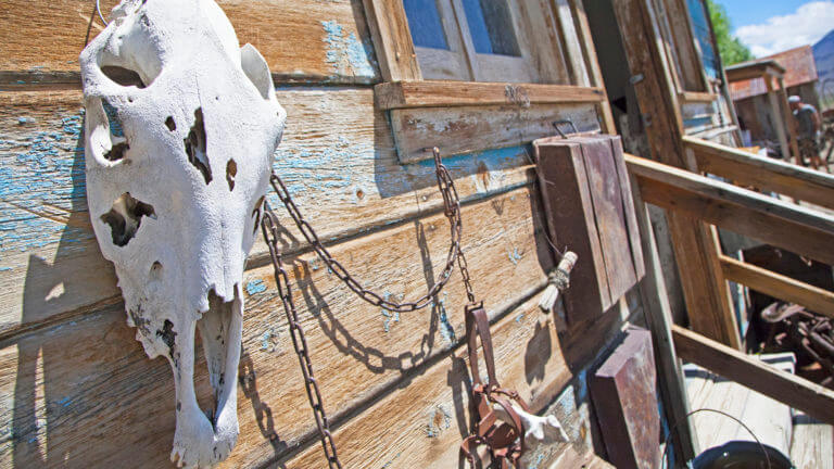 horse head at Fish Lake Valley Heritage Center and Museum