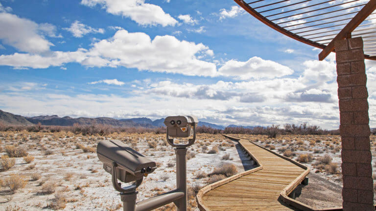 ash meadows