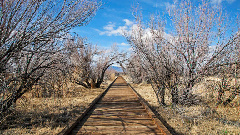 ash meadows in nevada