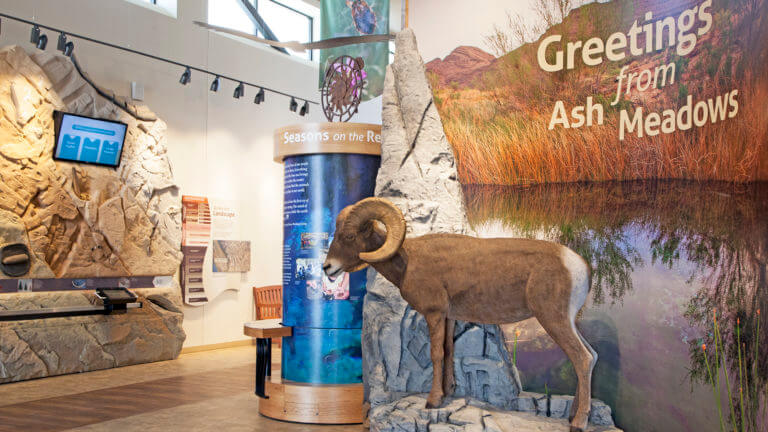 ash meadows visitor center