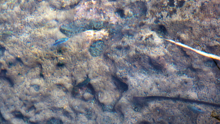 devils hole in ash meadows national wildlife refuge