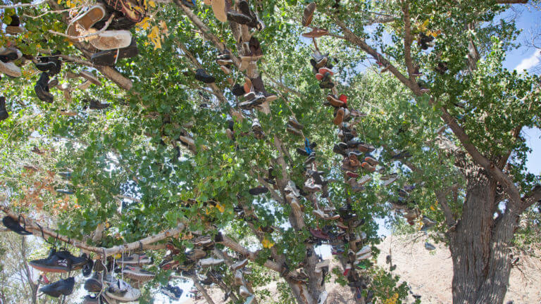 shoes on the shoe tree of middlegate