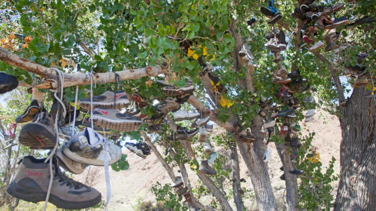 the shoe tree of middlegate