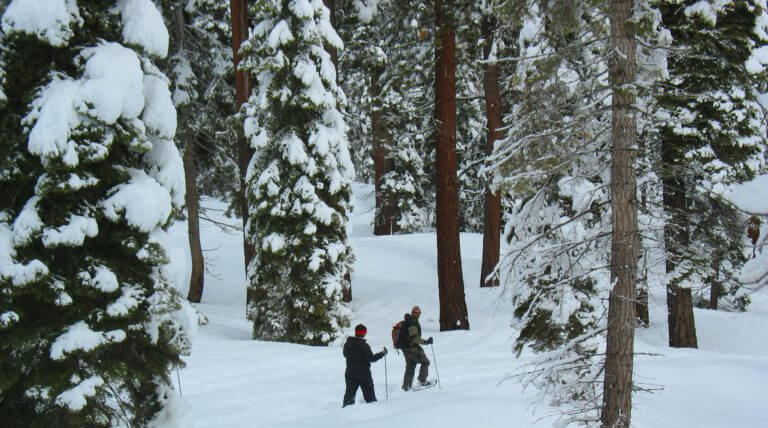 snowshoeing in lake tahoe