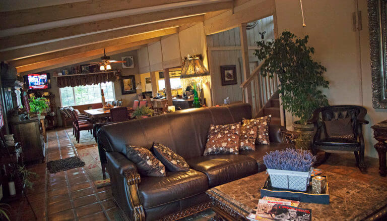 living room in queensland vineyard bed and breakfast