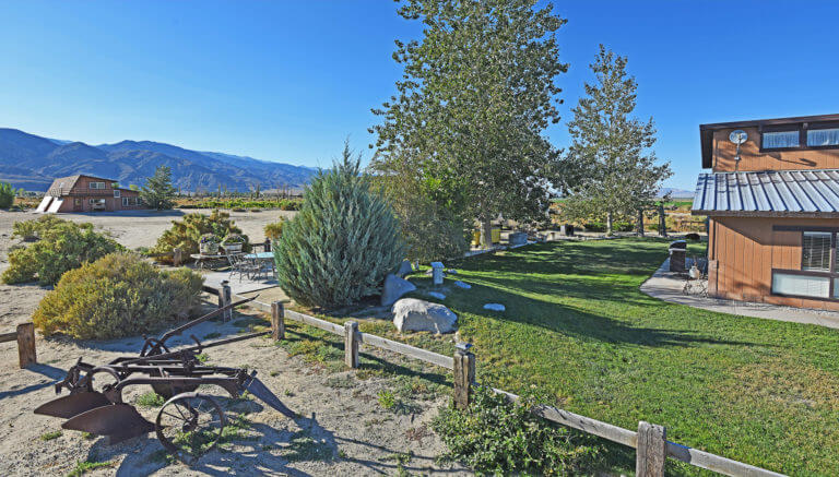 yard at queensland vineyard bed and breakfast