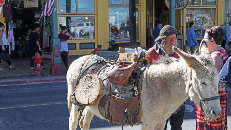 virginia city ass