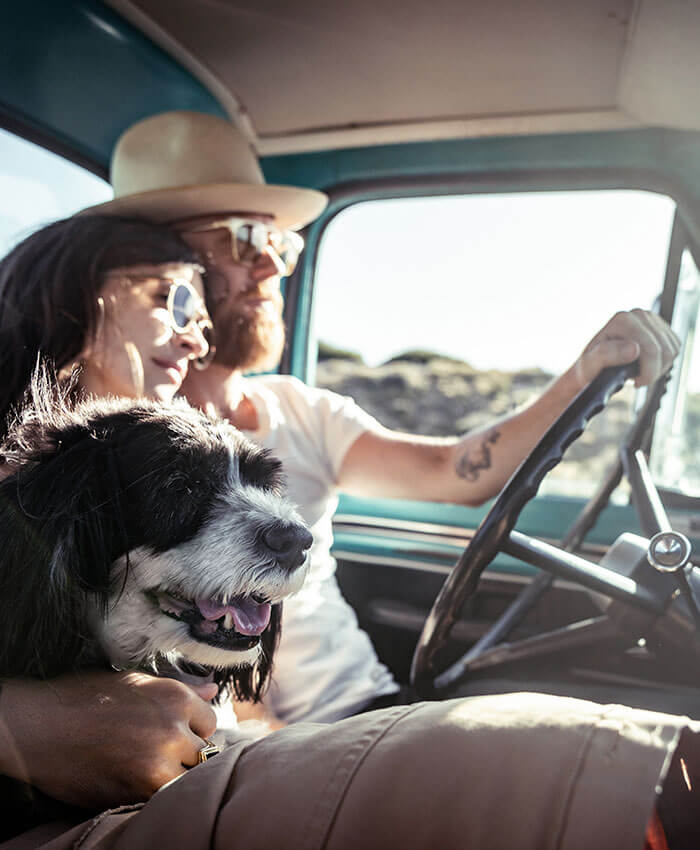 Man and woman driving with their dog