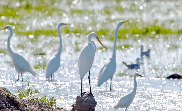 Stillwater National Wildlife Refuge