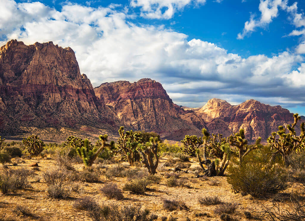 mountain ranges in red rock national conservation area
