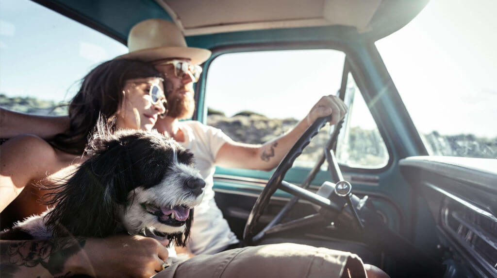 couple and their dog driving to nevada in a truck