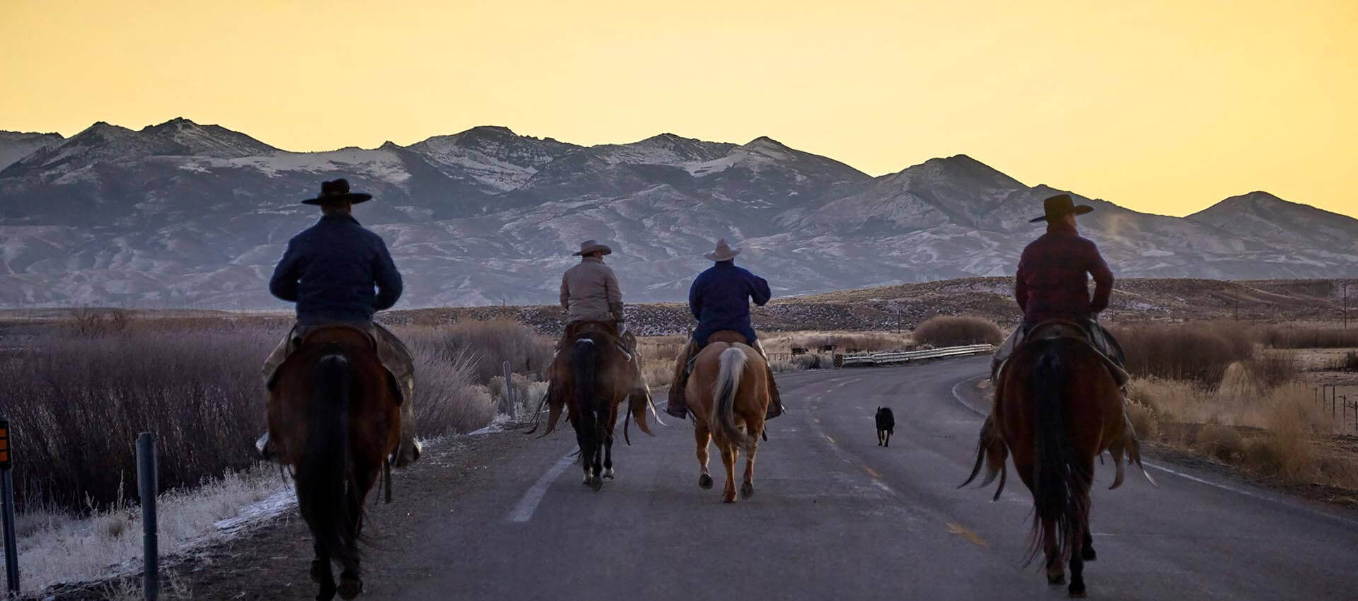 nevada cowboys