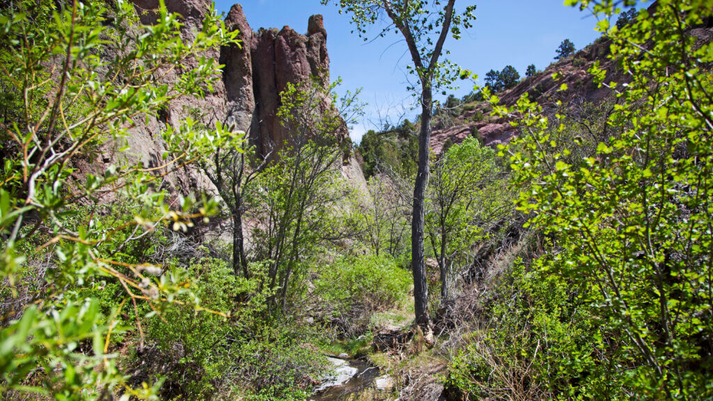 beaver dam nevada