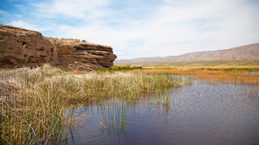 Pahranagat National Wildlife Refuge