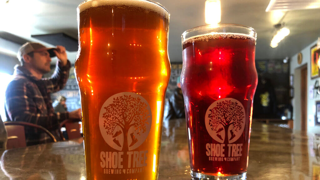 shoe tree brewing company