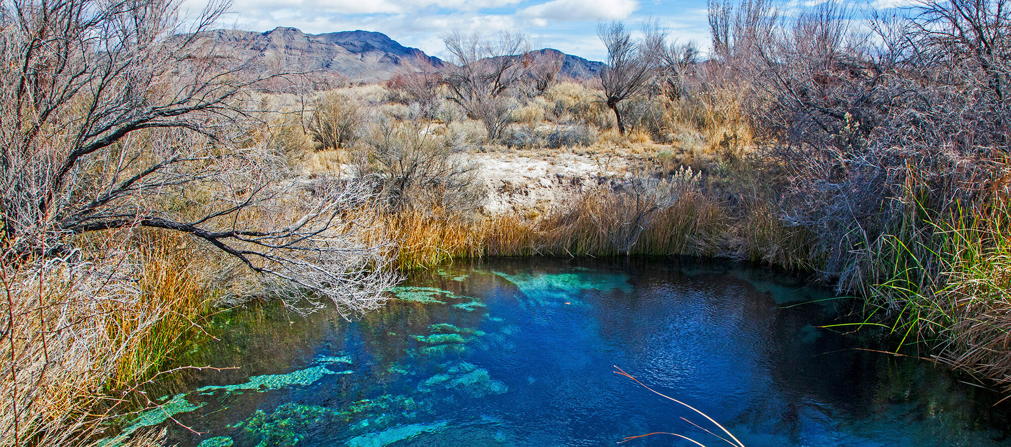 Amargosa Valley Attractions