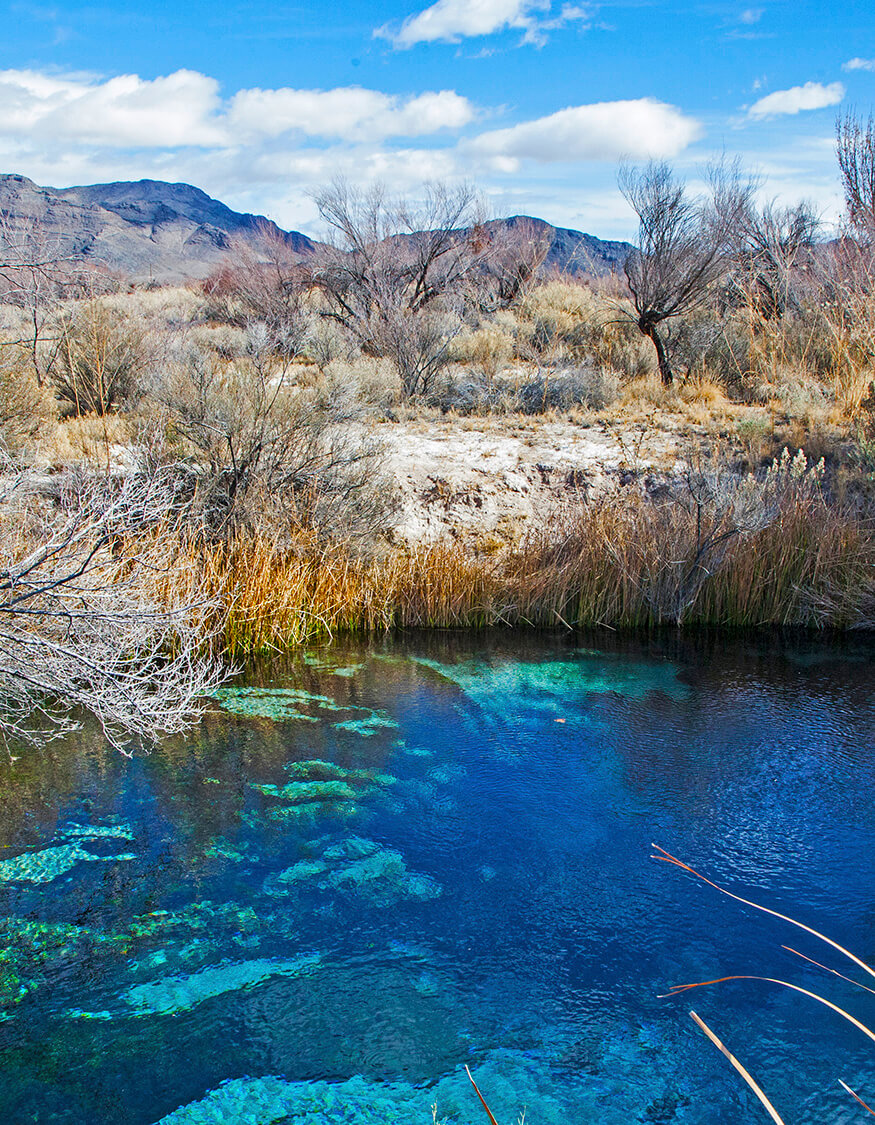 Amargosa Valley NV | Amargosa Nevada | Amargosa River