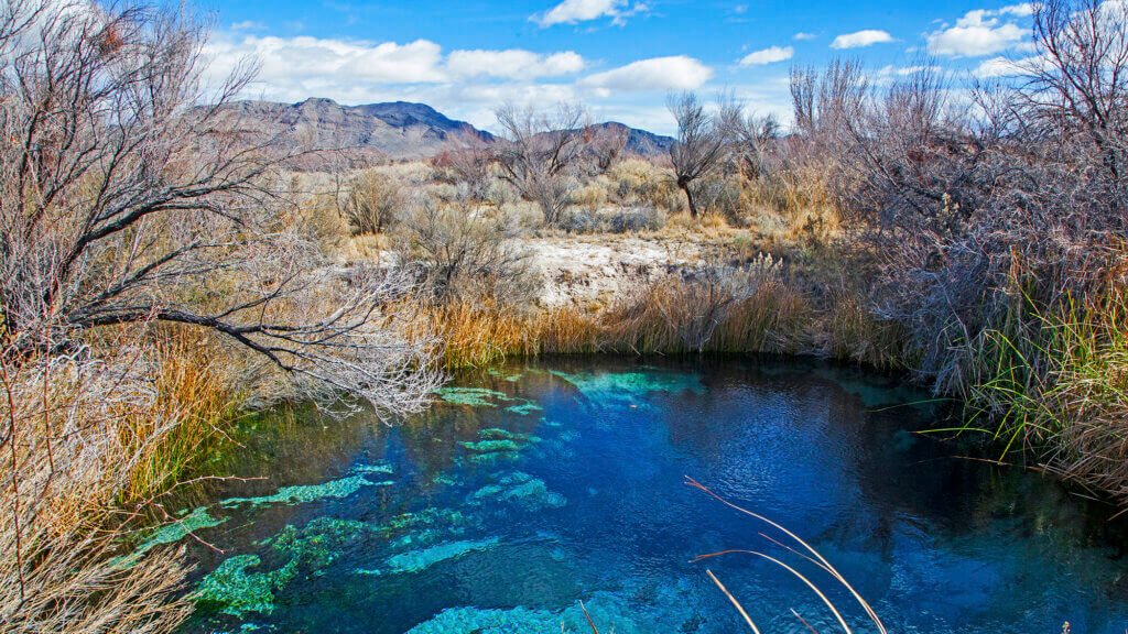 Ash Meadows