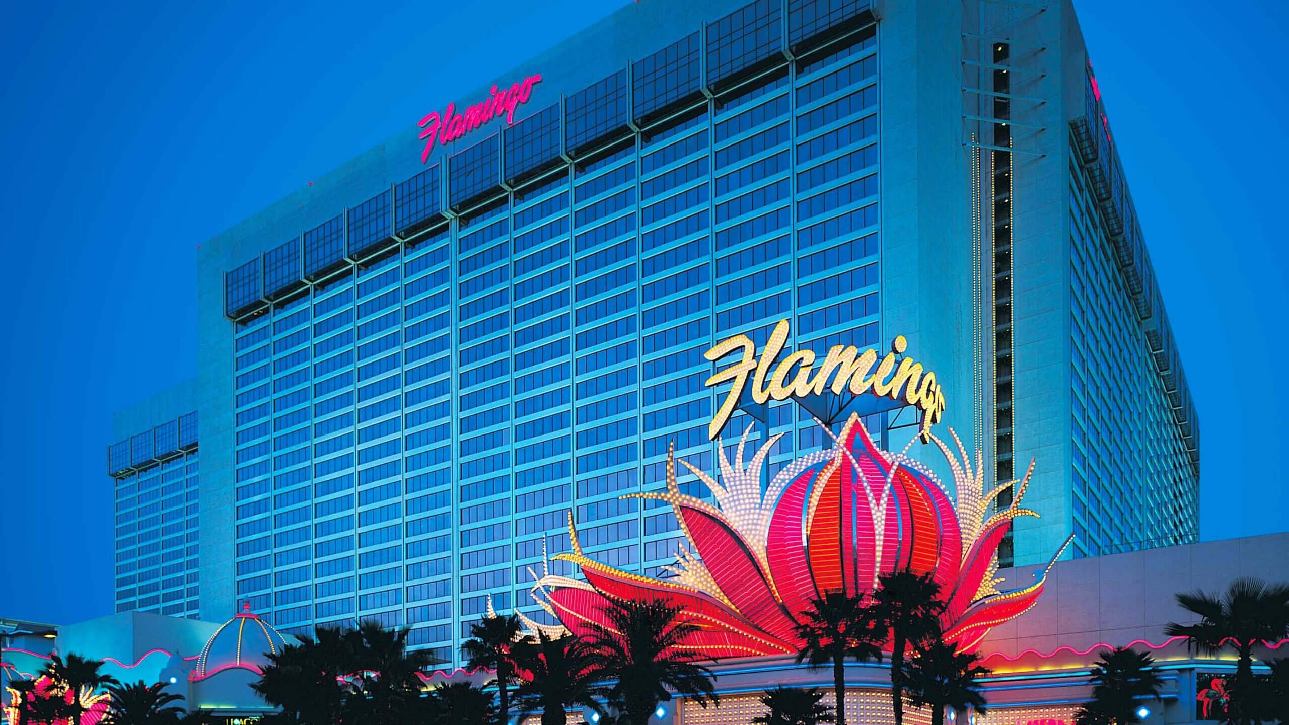 Tour of Flamingo GO Pool - Flamingo Las Vegas - HD 