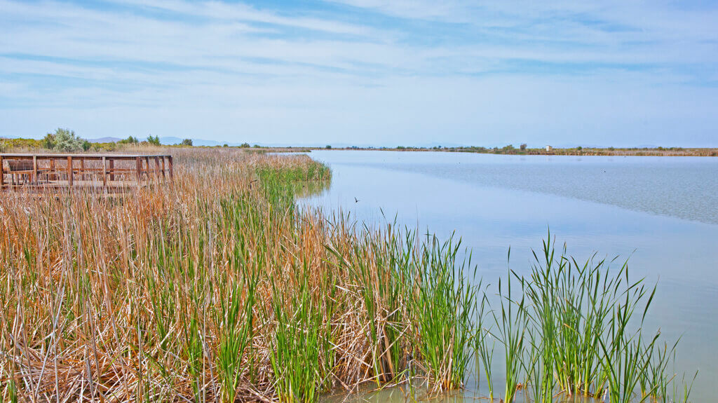 stillwater national wildlife refuge