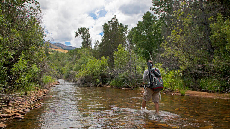 river fishing at humboldt toiyabe national forest