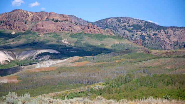 spectacular views of humboldt toiyabe national forest