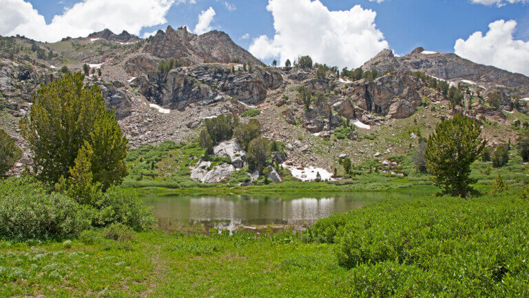 mountain range of humboldt toiyabe national forest