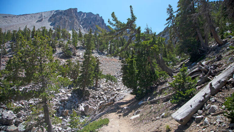 hiking trail nevada