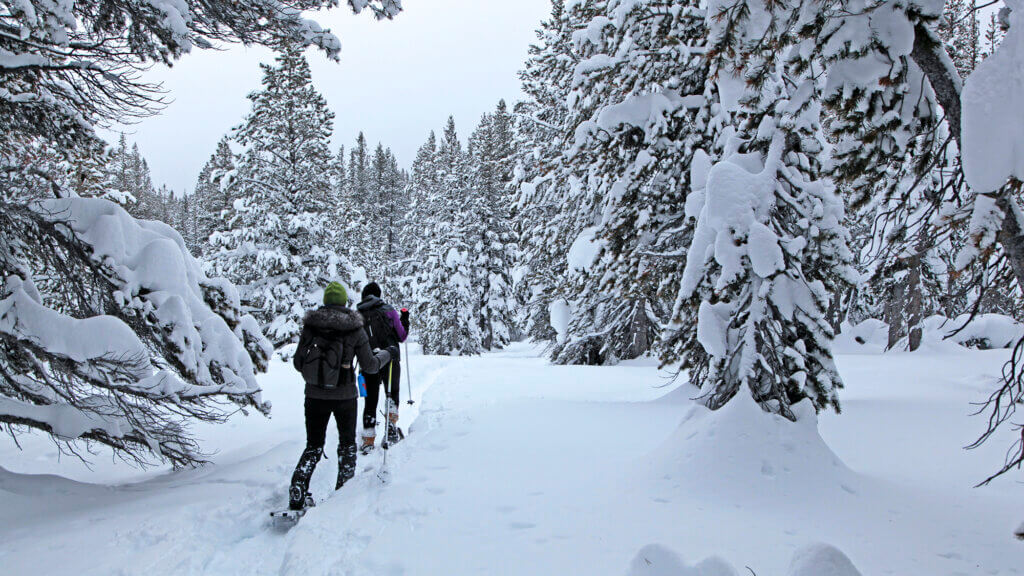 Mount Rose Wilderness Area