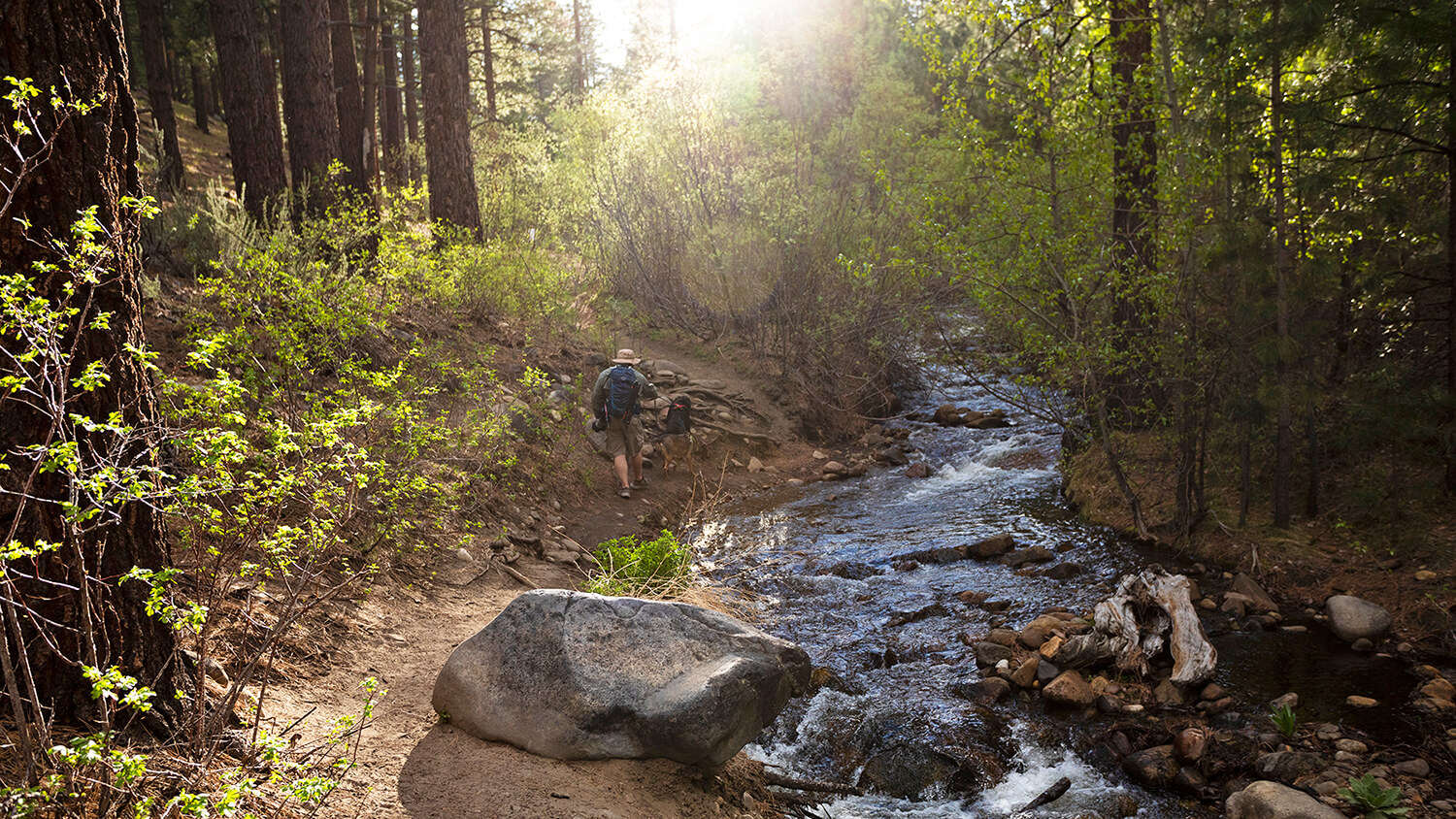 Galena Creek Trail & Visitor Center