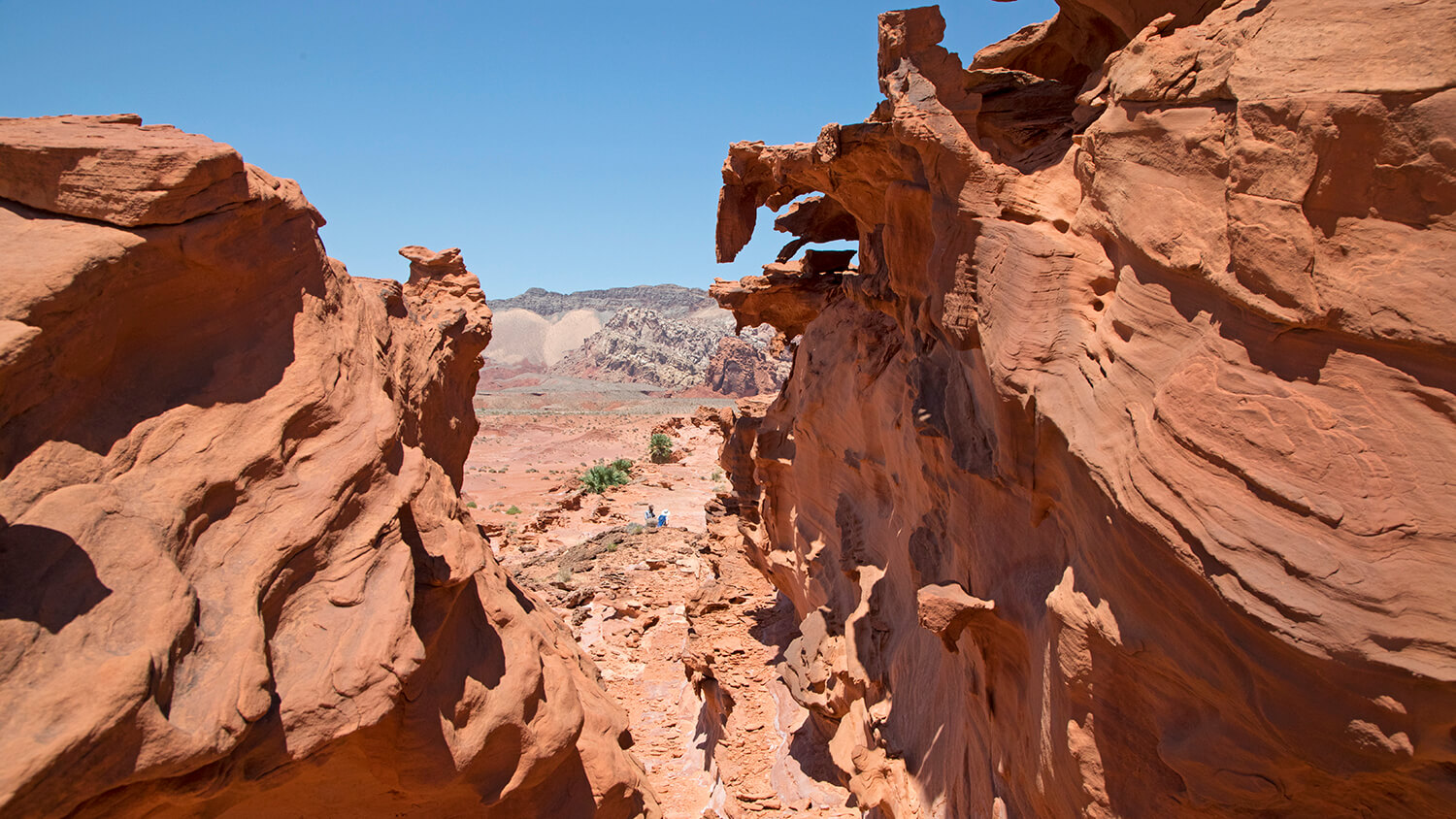 Gold Butte National Monument Mesquite, NV Travel Nevada