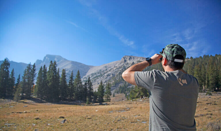 nevada hiking views