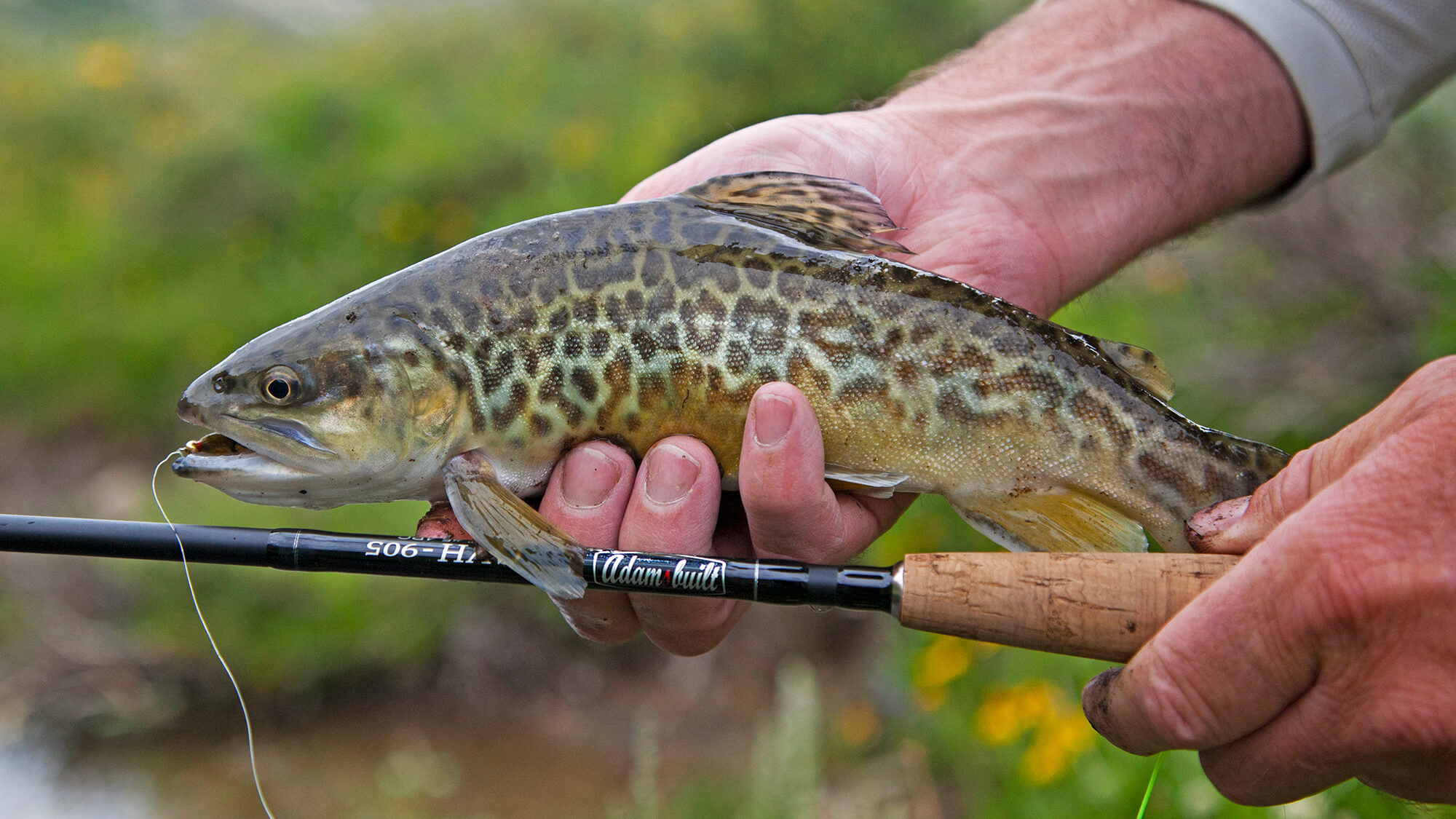 Pine Forest Recreation Knott Creek Reservoir Fishing Onion Valley