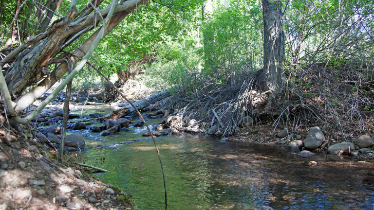 water at pine creek campground