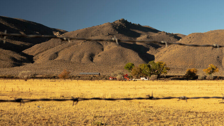 moutain views from Silver Saddle Ranch