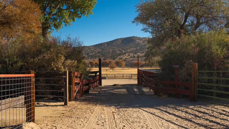 Road to Silver Saddle Ranch