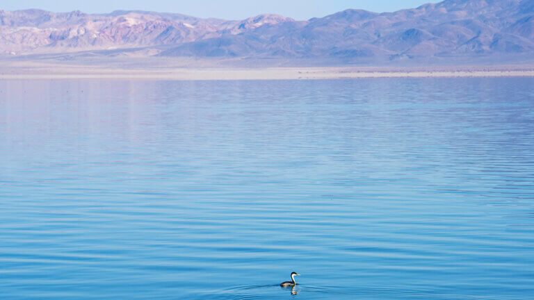 Walker Lake