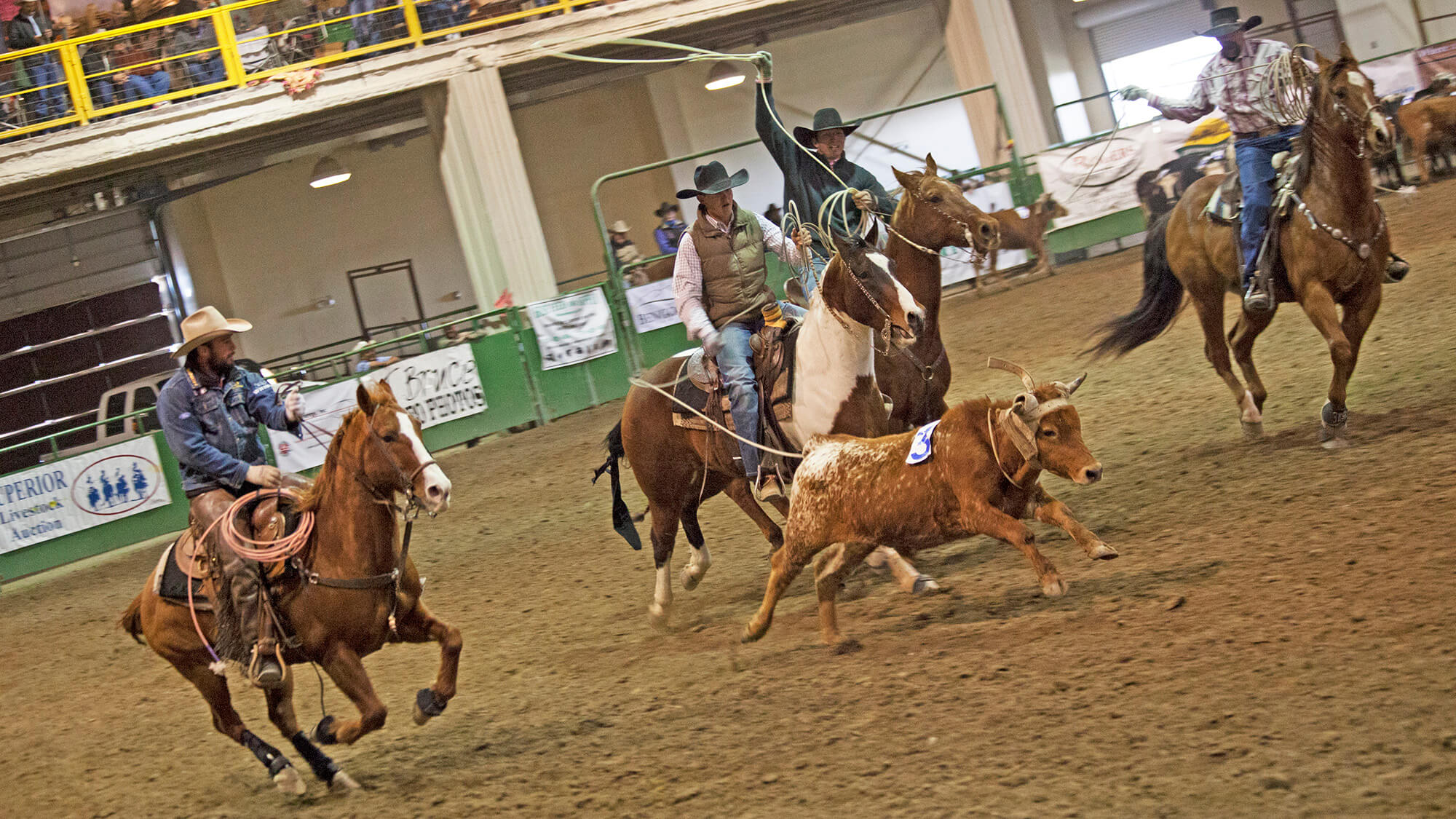 Winnemucca Ranch Hand Rodeo Weekend