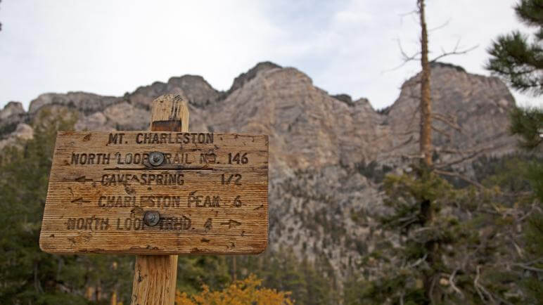 Spring Mountains sign