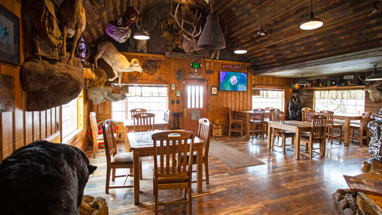 taxidermy stone cabin coffee shop