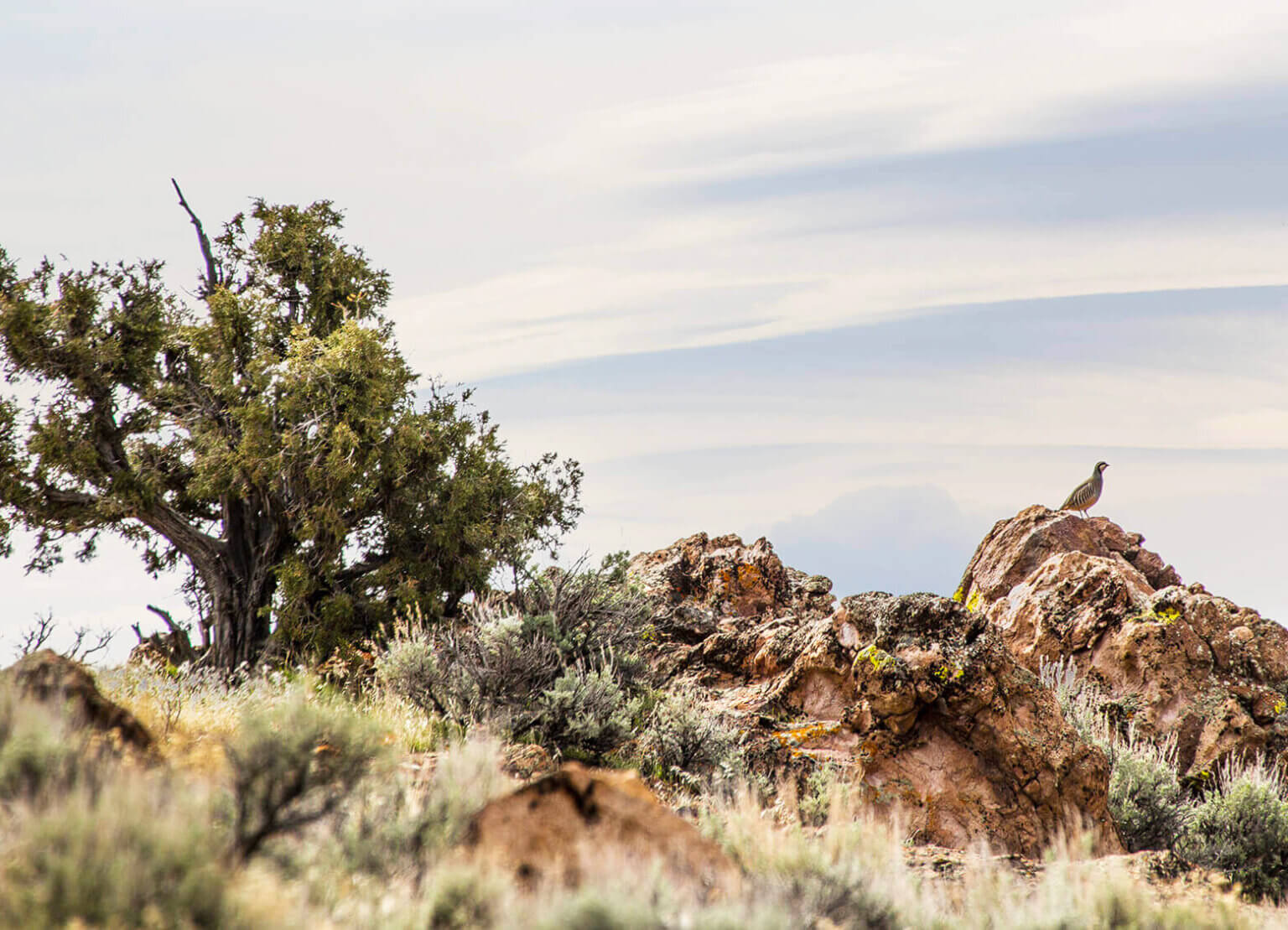 Battle Mountain Nevada Where is Battle Mountain Travel Nevada