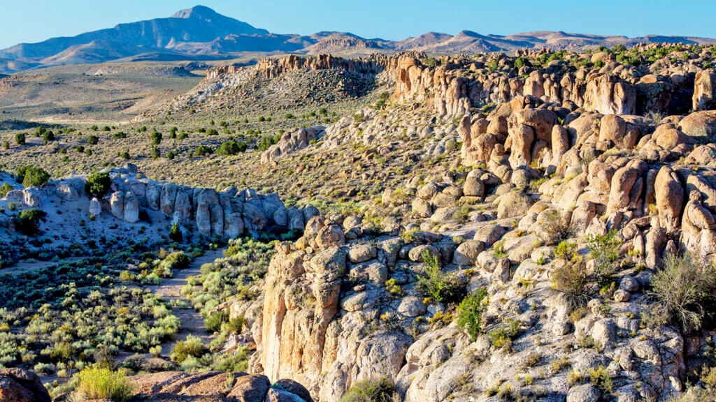 Basin and Range National Monument