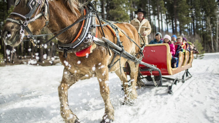 Borges Sleigh & Carriage Rides