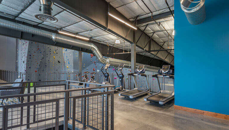 Mesa Rim Climbing Center treadmills